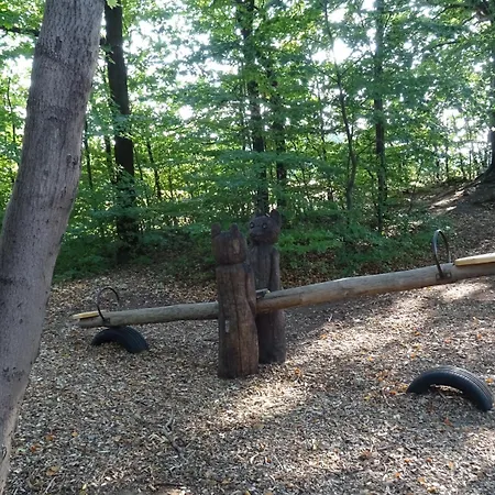 Prinz-friedrich-august Baude Gasthof Sohland an der Spree