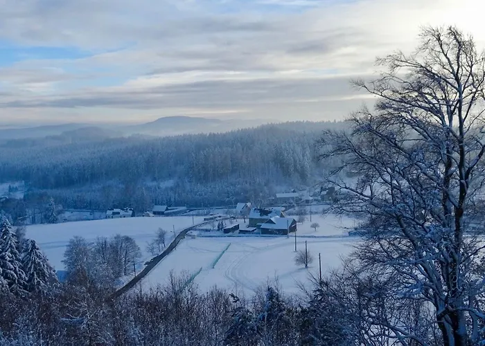 Guest house Prinz-friedrich-august Baude 3*