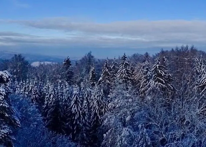 Prinz-friedrich-august Baude Guest house