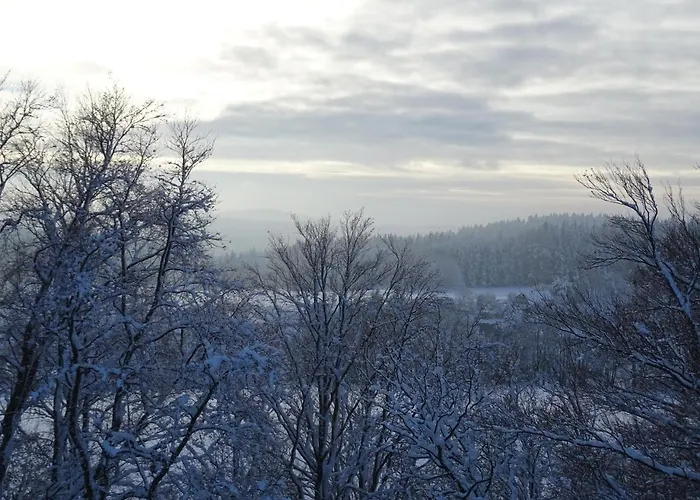 Prinz-friedrich-august Baude Guest house Sohland an der Spree
