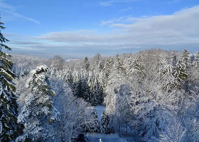 Guest house Prinz-friedrich-august Baude